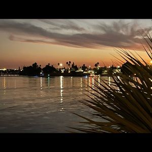 Meet your Posher, Lina